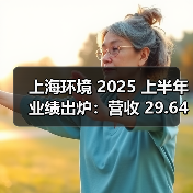 上海环境 2025 上半年业绩出炉:营收 29.64 亿增 5.26%,多业务协同扩版图(图4) 上海环境 2025 上半年业绩出炉:营收 29.64 亿增 5.26%,多业务协同扩版图(图4)
