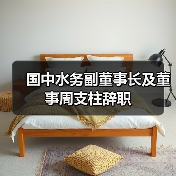 国中水务副董事长及董事周支柱辞职(图1) 国中水务副董事长及董事周支柱辞职(图1)