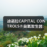 迪诺拉CAPITAL CONTROLS®臭氧发生器:实力品牌赋能全球水处理高效升级(图3) 迪诺拉CAPITAL CONTROLS®臭氧发生器:实力品牌赋能全球水处理高效升级(图3)