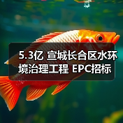 5.3亿 宣城长合区水环境治理工程 EPC招标(图2) 5.3亿 宣城长合区水环境治理工程 EPC招标(图2)