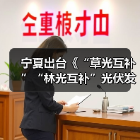 宁夏出台《“草光互补”“林光互补”光伏发电项目生态环境监督办法（试行）》（图4）