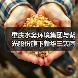 重庆水务环境集团与紫光股份旗下新华三集团签订战略合作协议(图1) 重庆水务环境集团与紫光股份旗下新华三集团签订战略合作协议(图1)