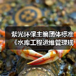 紫光环保主编团体标准《水库工程运维管理规范》发布(图2) 紫光环保主编团体标准《水库工程运维管理规范》发布(图2)
