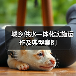 城乡供水一体化实施运作及典型案例(图2) 城乡供水一体化实施运作及典型案例(图2)