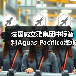 法国威立雅集团中标智利Aguas Pacífico海水淡化厂运营权项目(图4) 法国威立雅集团中标智利Aguas Pacífico海水淡化厂运营权项目(图4)