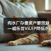 向水厂存量资产要效益—威乐普ViLEP降低水厂全生命周期用膜成本70%(图1) 向水厂存量资产要效益—威乐普ViLEP降低水厂全生命周期用膜成本70%(图1)