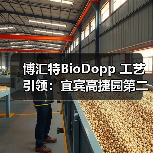 博汇特BioDopp 工艺引领：宜宾高捷园第二污水厂的高效污水处理之道