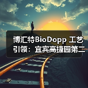 博汇特BioDopp 工艺引领：宜宾高捷园第二污水厂的高效污水处理之道（图3）