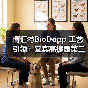 博汇特BioDopp 工艺引领：宜宾高捷园第二污水厂的高效污水处理之道（图2）
