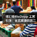博汇特BioDopp 工艺引领：宜宾高捷园第二污水厂的高效污水处理之道（图4）