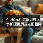 4.5亿元!灵璧县城区供水扩建提质及老旧管网集中改造项目本月招标(图1) 4.5亿元!灵璧县城区供水扩建提质及老旧管网集中改造项目本月招标(图1)