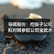 马钢股份:控股子公司拟对其参股公司宝武水务减资(图4) 马钢股份:控股子公司拟对其参股公司宝武水务减资(图4)