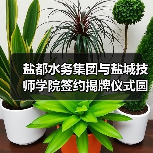 盐都水务集团与盐城技师学院签约揭牌仪式圆满举行(图1) 盐都水务集团与盐城技师学院签约揭牌仪式圆满举行(图1)