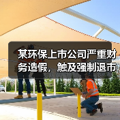 某环保上市公司严重财务造假,触及强制退市!(图2) 某环保上市公司严重财务造假,触及强制退市!(图2)