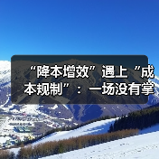 “降本增效”遇上“成本规制”:一场没有掌声的独白?(图3) “降本增效”遇上“成本规制”:一场没有掌声的独白?(图3)