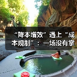 “降本增效”遇上“成本规制”:一场没有掌声的独白?(图1) “降本增效”遇上“成本规制”:一场没有掌声的独白?(图1)