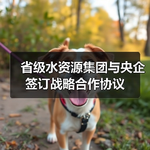省级水资源集团与央企签订战略合作协议(图1) 省级水资源集团与央企签订战略合作协议(图1)
