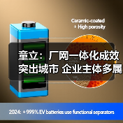 童立:厂网一体化成效突出城市 企业主体多属本地国企及控股企业(图3) 童立:厂网一体化成效突出城市 企业主体多属本地国企及控股企业(图3)
