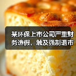 某环保上市公司严重财务造假,触及强制退市!(图3) 某环保上市公司严重财务造假,触及强制退市!(图3)