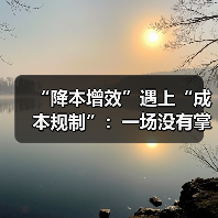 “降本增效”遇上“成本规制”:一场没有掌声的独白?(图2) “降本增效”遇上“成本规制”:一场没有掌声的独白?(图2)