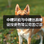 中建环能与中建丝路建设投资有限公司签订战略合作协议(图2) 中建环能与中建丝路建设投资有限公司签订战略合作协议(图2)