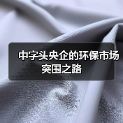 中字头央企的环保市场突围之路(图2) 中字头央企的环保市场突围之路(图2)