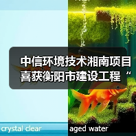 中信环境技术湘南项目喜获衡阳市建设工程“金雁奖”(图2) 中信环境技术湘南项目喜获衡阳市建设工程“金雁奖”(图2)