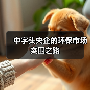 中字头央企的环保市场突围之路(图4) 中字头央企的环保市场突围之路(图4)