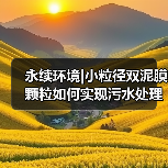 永续环境|小粒径双泥膜颗粒如何实现污水处理“提标、提量、降本”三重突破?(图1) 永续环境|小粒径双泥膜颗粒如何实现污水处理“提标、提量、降本”三重突破?(图1)