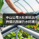 中山公用火炬系统治污 持续巩固提升水环境治理成效(图2) 中山公用火炬系统治污 持续巩固提升水环境治理成效(图2)