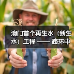 澳门首个再生水(新生水)工程 —— 路环中水站一期建设推进!金科环境助力水资源循环利用(图4) 澳门首个再生水(新生水)工程 —— 路环中水站一期建设推进!金科环境助力水资源循环利用(图4)
