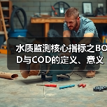 水质监测核心指标之BOD与COD的定义、意义及应用(图2) 水质监测核心指标之BOD与COD的定义、意义及应用(图2)