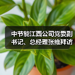 中节能江西公司党委副书记、总经理张维拜访中科院生态环境研究中心(图2) 中节能江西公司党委副书记、总经理张维拜访中科院生态环境研究中心(图2)