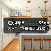 短小精悍 ——“SSgo®+” 或是雨污溢流污染治理最优解(图1) 短小精悍 ——“SSgo®+” 或是雨污溢流污染治理最优解(图1)