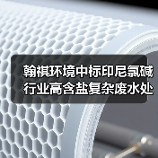 翰祺环境中标印尼氯碱行业高含盐复杂废水处理项目(图1) 翰祺环境中标印尼氯碱行业高含盐复杂废水处理项目(图1)