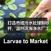 打造市域污水处理新标杆,温州滨海净水厂工程开工(图2) 打造市域污水处理新标杆,温州滨海净水厂工程开工(图2)