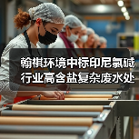 翰祺环境中标印尼氯碱行业高含盐复杂废水处理项目(图4) 翰祺环境中标印尼氯碱行业高含盐复杂废水处理项目(图4)