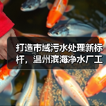 打造市域污水处理新标杆,温州滨海净水厂工程开工(图1) 打造市域污水处理新标杆,温州滨海净水厂工程开工(图1)
