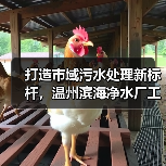 打造市域污水处理新标杆,温州滨海净水厂工程开工(图3) 打造市域污水处理新标杆,温州滨海净水厂工程开工(图3)