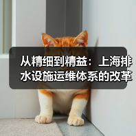 从精细到精益:上海排水设施运维体系的改革与升级路径(图2) 从精细到精益:上海排水设施运维体系的改革与升级路径(图2)