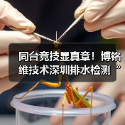 同台竞技显真章!博铭维技术深圳排水检测“行业大练兵”圆满收官(图1) 同台竞技显真章!博铭维技术深圳排水检测“行业大练兵”圆满收官(图1)