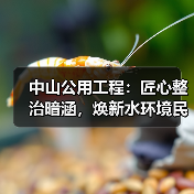 中山公用工程:匠心整治暗涵,焕新水环境民生福祉(图2) 中山公用工程:匠心整治暗涵,焕新水环境民生福祉(图2)