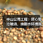 中山公用工程:匠心整治暗涵,焕新水环境民生福祉(图4) 中山公用工程:匠心整治暗涵,焕新水环境民生福祉(图4)