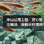 中山公用工程:匠心整治暗涵,焕新水环境民生福祉(图3) 中山公用工程:匠心整治暗涵,焕新水环境民生福祉(图3)