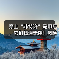 穿上“非特许”马甲后,它们畅通无阻!风险、边界等引深思(图2) 穿上“非特许”马甲后,它们畅通无阻!风险、边界等引深思(图2)
