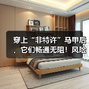 穿上“非特许”马甲后,它们畅通无阻!风险、边界等引深思(图4) 穿上“非特许”马甲后,它们畅通无阻!风险、边界等引深思(图4)