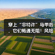 穿上“非特许”马甲后,它们畅通无阻!风险、边界等引深思(图3) 穿上“非特许”马甲后,它们畅通无阻!风险、边界等引深思(图3)