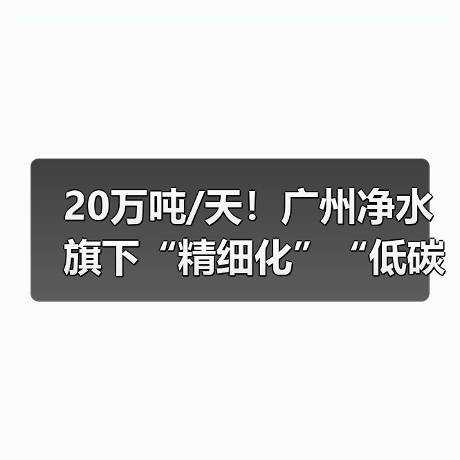 20万吨/天!广州净水旗下“精细化”“低碳化”双料标杆的高质运营之路(图4) 20万吨/天!广州净水旗下“精细化”“低碳化”双料标杆的高质运营之路(图4)