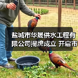 盐城市华晟供水工程有限公司揭牌成立 开启市场化改革新篇章(图1) 盐城市华晟供水工程有限公司揭牌成立 开启市场化改革新篇章(图1)
