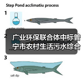 广业环保联合体中标普宁市农村生活污水综合治理工程(第一阶段)EPC+O总承包(图1) 广业环保联合体中标普宁市农村生活污水综合治理工程(第一阶段)EPC+O总承包(图1)